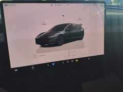 Tesla Model 3 Rear-Wheel Drive - ფოტო 13