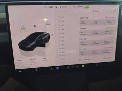Tesla Model 3 Rear-Wheel Drive - ფოტო 14