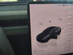 Tesla Model 3 Rear-Wheel Drive - ფოტო 16