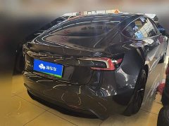 Tesla Model 3 Rear-Wheel Drive - ფოტო 3