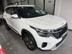 Kia Situs 1.5L CVT Luxury - ფოტო 2