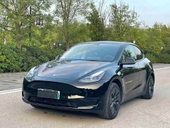 Tesla Model Y Rear-Wheel Drive - ფოტო 1