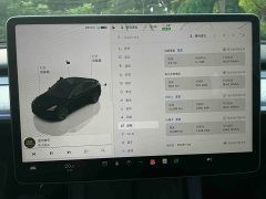 Tesla Model Y Rear-Wheel Drive - ფოტო 13