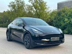 Tesla Model Y Rear-Wheel Drive - ფოტო 3