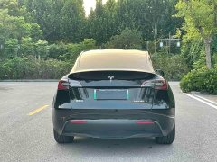 Tesla Model Y Rear-Wheel Drive - ფოტო 5