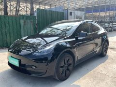 Tesla Model Y Rear-Wheel Drive - ფოტო 1