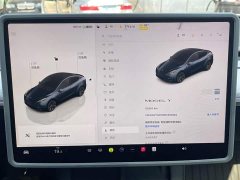 Tesla Model Y Rear-Wheel Drive - ფოტო 10
