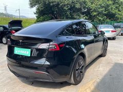 Tesla Model Y Rear-Wheel Drive - ფოტო 14