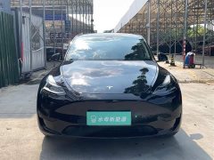 Tesla Model Y Rear-Wheel Drive - ფოტო 2