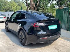 Tesla Model Y Rear-Wheel Drive - ფოტო 6