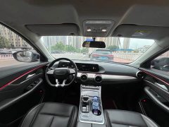 Dongfeng Fengxing T5 EVO 2021 1.5T Diesel DCT Platinum Edition - ფოტო 5