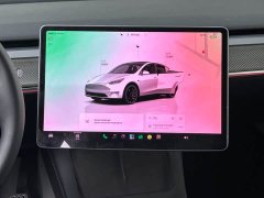 Tesla Model Y 2022 Performance All-Wheel Drive - ფოტო 20