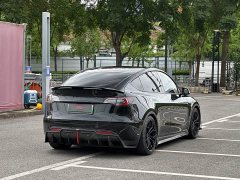 Tesla Model Y 2022 Performance All-Wheel Drive - ფოტო 5