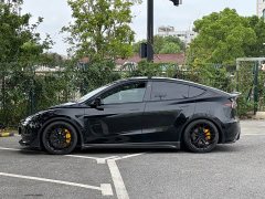 Tesla Model Y 2022 Performance All-Wheel Drive - ფოტო 7