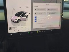Tesla Model Y 2022 Facelift Rear-Wheel Drive - ფოტო 13
