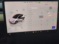 Tesla Model Y 2022 Facelift Rear-Wheel Drive - ფოტო 14