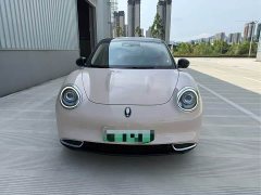 Ora Good Cat 500km Long Range Poseidon Edition Ternary Lithium Battery - ფოტო 2