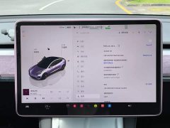 Tesla Model 3 2022 Rear-Wheel Drive - ფოტო 15