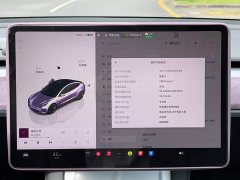 Tesla Model 3 2022 Rear-Wheel Drive - ფოტო 16