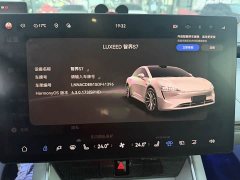 Luxeed Zhiji S7 705km Max - ფოტო 9