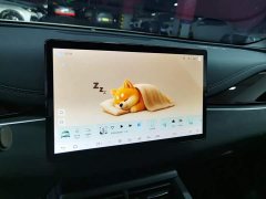 BYD Seal 06 DM-i Smart Drive Edition 80KM Luxury - ფოტო 13