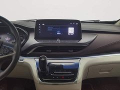 Buick GL8 Land Executive Cabin 652T Luxury - ფოტო 12