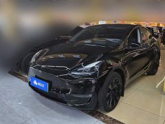 Tesla Model Y Long Range All-Wheel Drive - ფოტო 1