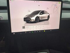 Tesla Model Y Long Range All-Wheel Drive - ფოტო 13