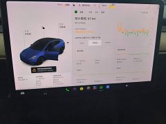 Tesla Model Y Long Range All-Wheel Drive - ფოტო 14