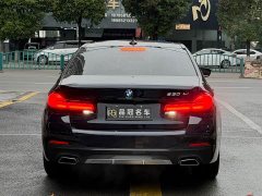BMW 5 Series Facelift 530Li Premier M Sport Package - ფოტო 8