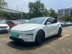 Tesla Model Y Rear-Wheel Drive - ფოტო 1