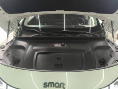 smart #1 2022 Pulse Heartbeat Edition - ფოტო 10