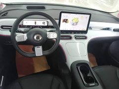 smart #1 2022 Pulse Heartbeat Edition - ფოტო 12