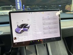 Tesla Model Y Rear-Wheel Drive - ფოტო 11