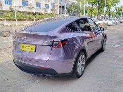 Tesla Model Y Rear-Wheel Drive - ფოტო 7