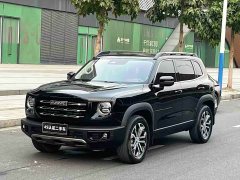 Great Wall Dachshund 2022 1.5T DCT Two-Wheel Drive Border Collie Edition - ფოტო 1