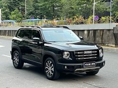 Great Wall Dachshund 2022 1.5T DCT Two-Wheel Drive Border Collie Edition - ფოტო 2