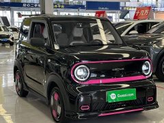 Geely Panda 210km Panda Kart - ფოტო 3