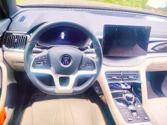 BYD Song Plus New Energy EV Premium - ფოტო 11