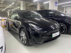 Tesla Model Y Rear-Wheel Drive - ფოტო 3