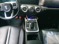 Tank 300 Off-Road Edition 2.0T Conqueror - ფოტო 16