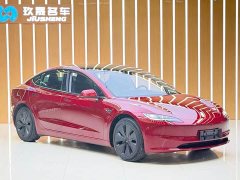 Tesla Model 3 2023 Rear-Wheel Drive - ფოტო 3