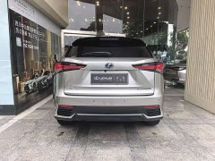 Lexus NX 2020 300h FWD Pinnacle Edition National VI - ფოტო 5