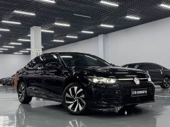 Volkswagen Passat Pro 380TSI Starry Sky Dragon Prestige Edition - ფოტო 3