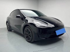 Tesla Model Y Rear-Wheel Drive - ფოტო 3
