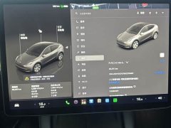 Tesla Model Y Rear-Wheel Drive - ფოტო 6