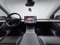 Tesla Model Y Rear-Wheel Drive - ფოტო 7