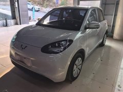Wuling Binguo 333km Quick Enjoy Edition - ფოტო 1