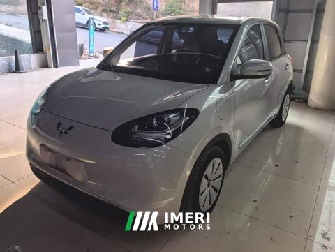 2023 Wuling Binguo 333km Quick Enjoy Edition