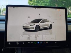 Tesla Model 3 Rear-Wheel Drive - ფოტო 7